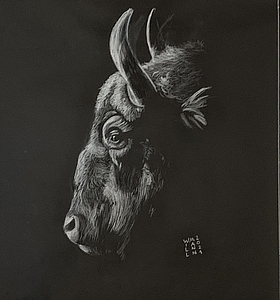 Agrandir l'image (fenêtre modale)